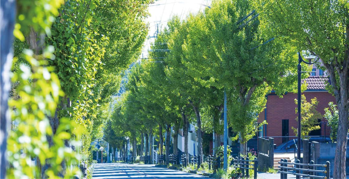LOCATION 丘陵の起伏を活かした街路