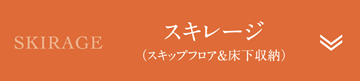 スキレージ